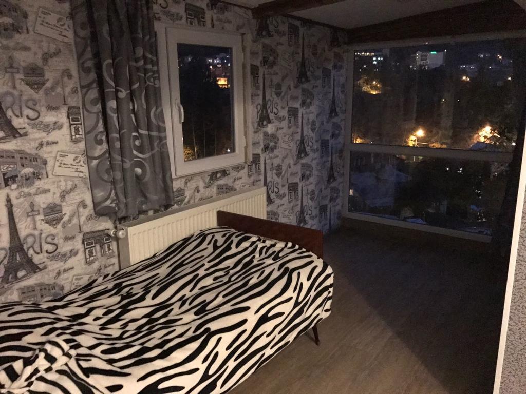 Rachvela'S Guest House Боржоми Экстерьер фото